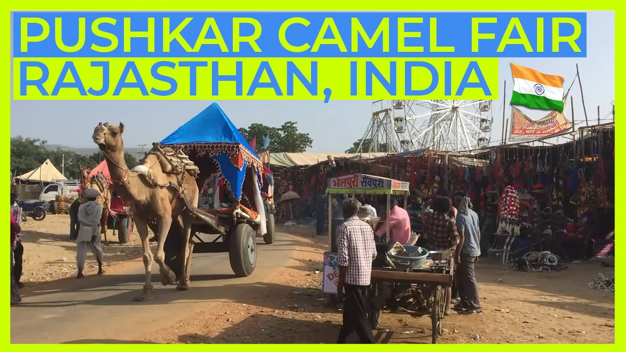 Things to Do at the Pushkar Camel Fair in Rajasthan India