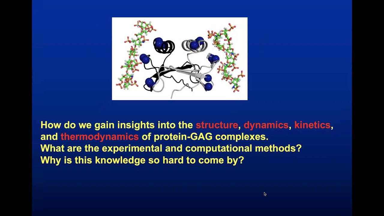 Thermodynamics and kinetics of protein GAG complexes