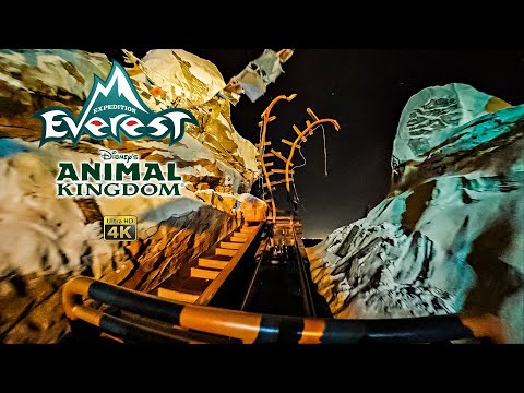 Expedition Everest at Night On Ride Front Seat Low Light 4K POV Disney's Animal Kingdom 2025 01 01