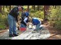 The Biggest Little Railroad In The World Part 2