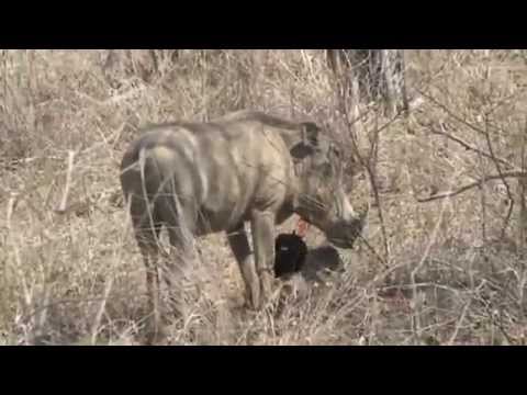 GALA de l'étudiant 2010 - AVE