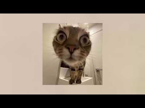 boom clap - charli xcx (sped up)