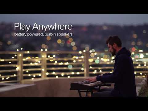 Roland GO:PIANO88 - Black image 3