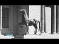 Nazi-kunst gevonden: deze paarden stonden bij Hitl - RTL NIEUWS
