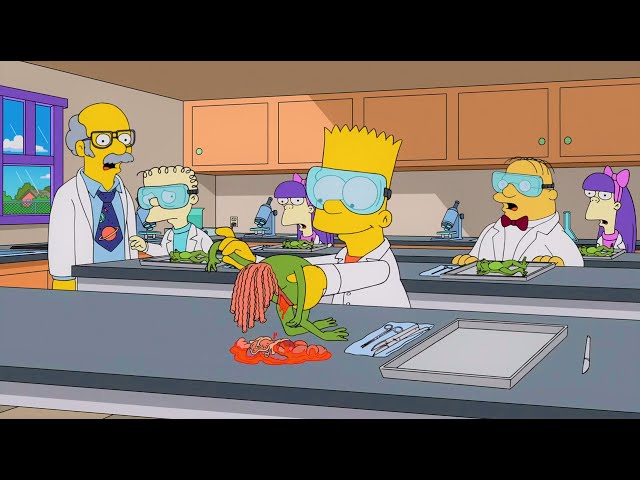 Vídeo relacionado con Los Simpsons Temporada 1 Los Simpsons Primera Temporada Los Simpson Serie DVD