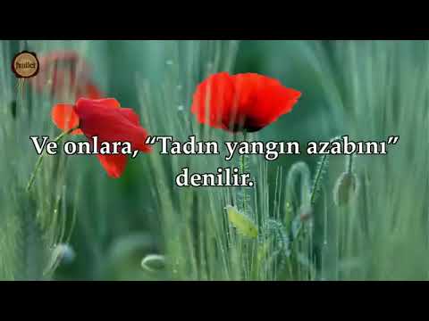 Hac Suresi | Ebubekir Şatıri