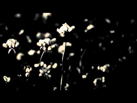 Sale Freux - Nuit Blanche En Allier/A Fleur De Plaies