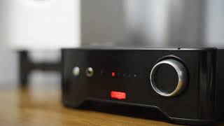 Tangerine - Stacey ken