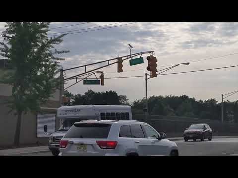 Pedestrian Fatalities