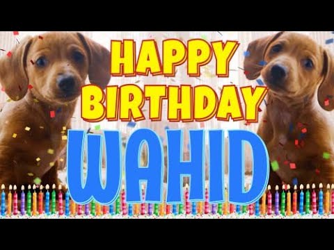 Happy Birthday Wahid! ( Funny Talking Dogs ) What Is Free On My Birthday