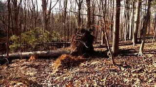 Music video thumbnail preview for Memorial For the Forested by Robes of Snow