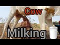 Viral Milk Making Vlog Prepare