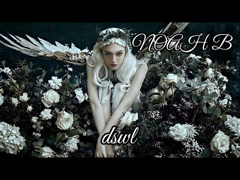 NOAH B — From Heaven | dswl
