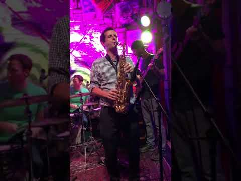 Heavy Pets at Dunedin Brewery