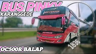 Download lagu STJ 'BAVIKHA LINE KARANGGEDE..⁉️😍 || PINKY OSOR BALAP EMANG MANTAP mp3
