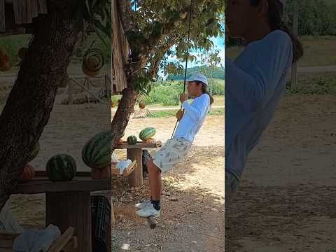 Conheçam a banca de frutas em Celso Ramos Santa Catarina. #frutas #celsoramos