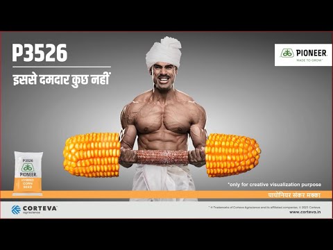 P3526 इससे दमदार कुछ नहीं