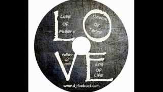 DJ BOBCAT - LOVE (TEQUILA CLUB)