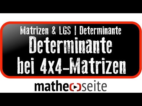 Determinante berechnen bei 4x4-Matrizen | M.04.03
