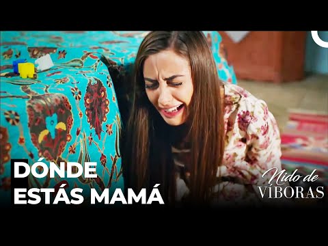 Le Quitaron Su Hija A Elvan - Nido De Víboras