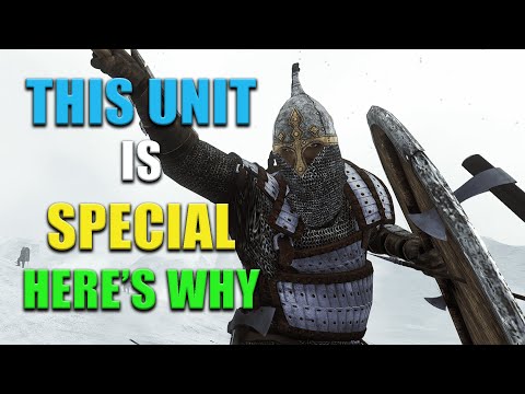 How SPECIAL Is The Druzhinnik Champion? Bannerlord Cavalry units troops Guide