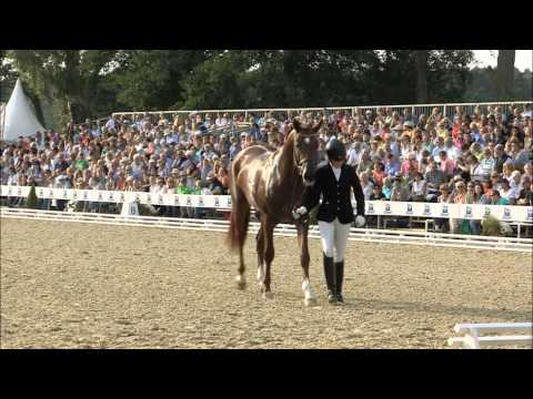 Rückblick Bundeschampionat 2014