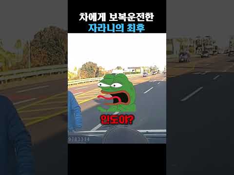 차를 상대로 보복운전 하는 자전거