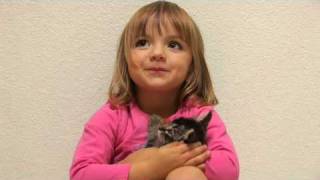 MEAN KITTY - Cat Trapping