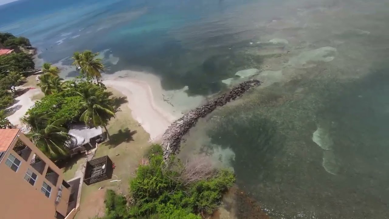 prickly bay - the first murder scene thumbnail