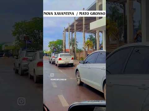 Nova Xavantina  / Mato Grosso