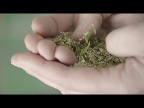 Paul Cirka, distillateur et obsessionnel du goût  | Paul Cirka, distiller and taste obsessive