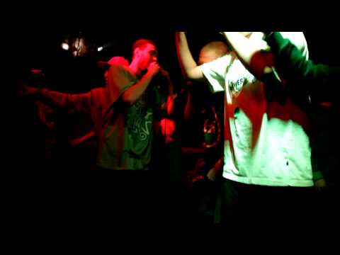 2sty/ Kot, Karwan.mov