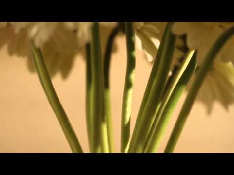 Tenne Bad & Fliesen - Love Desire