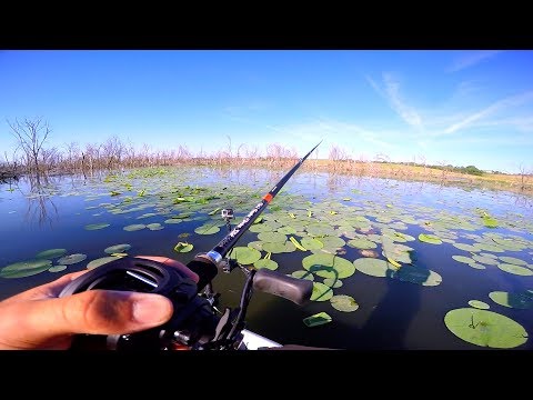 Fishing BIG Worms for BIG Bass!!