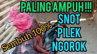 Download lagu Ampuh!!! Cara mengobati SNOT pada ayam mp3