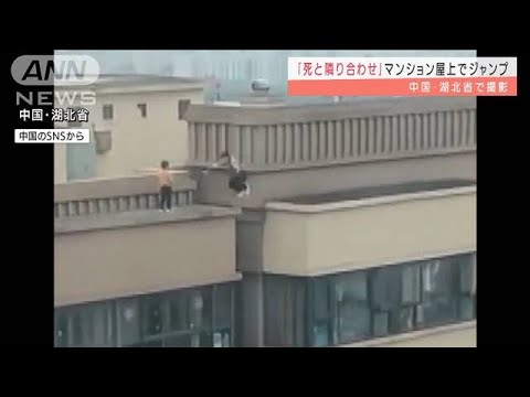 血のように赤いクレーンビル 植物