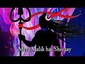 Me Das Ussi Ka Hun Mera Malik Hai Shivaay Lofi Mere Bholenath Mahakal