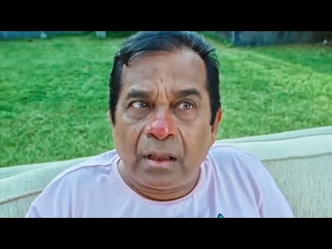 Brahmanandam Ka Comedy Scene l Yevadu Movie Best Comedy Scene