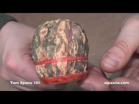 pipa Tom Spanu 101 - трубка