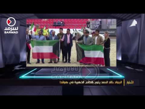 الجواد خالد الحمد يتوج بالكأس الذهبية في هولندا