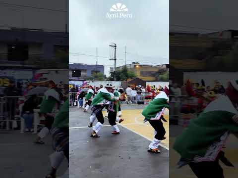 Carnaval de Canas - Cuzco - Hijos del Sol / Virgen de Oro 2026