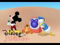 Donald S Lost Lion Those Are Bees