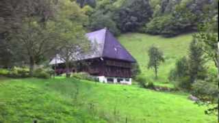 German Farmhouse Music Video