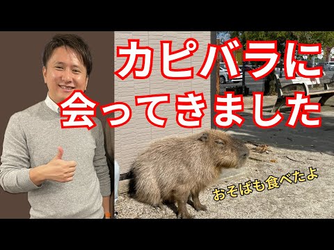 建築学科 カピバラに会ってきた話、では無い。