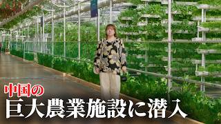 【14億人の食を支える】度肝抜く中国の巨大ハウス農業施設に潜入!世界が注目するエコ素材やAIを駆使した近未来栽培まで一挙公開!