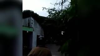 Download lagu #pdiperjuangan #ppp FULL Bentrok MASSA PDIP JOGJA DAN MASSA PPP JOGJA RICUH Tawuran Gangster mp3 Download lagu #pdiperjuangan #ppp FULL Bentrok MASSA PDIP JOGJA DAN MASSA PPP JOGJA RICUH Tawuran Gangster mp3