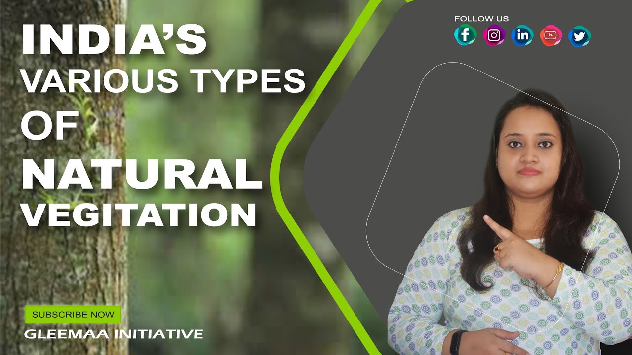 INDIA'S VARIOUS TYPES OF NATURAL VEGETATION. // Project 006