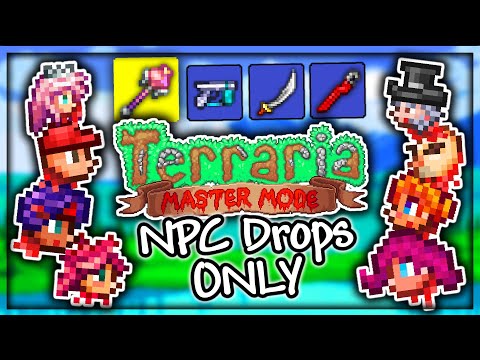 Terraria Npc Drops