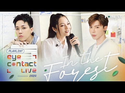 🌳 Playlist nhạc Eye Contact LIVE (In The Forest) | ERIK, Bảo Anh, Kai Đinh