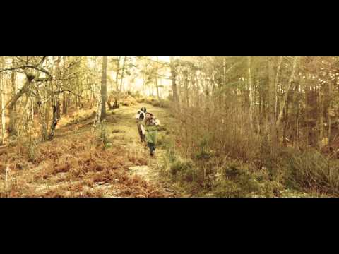 Luella Launch Trailer